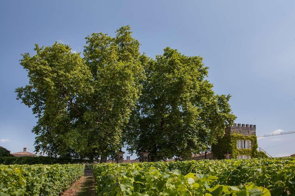 Chateau D'Arche, Grand Cru Classe De Sauternes Facilities photo
