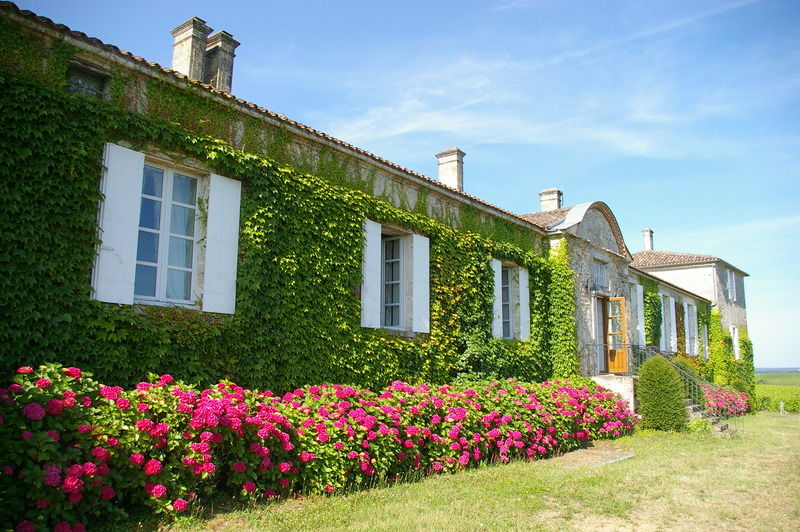 Chateau D'Arche, Grand Cru Classe De Sauternes Exterior photo